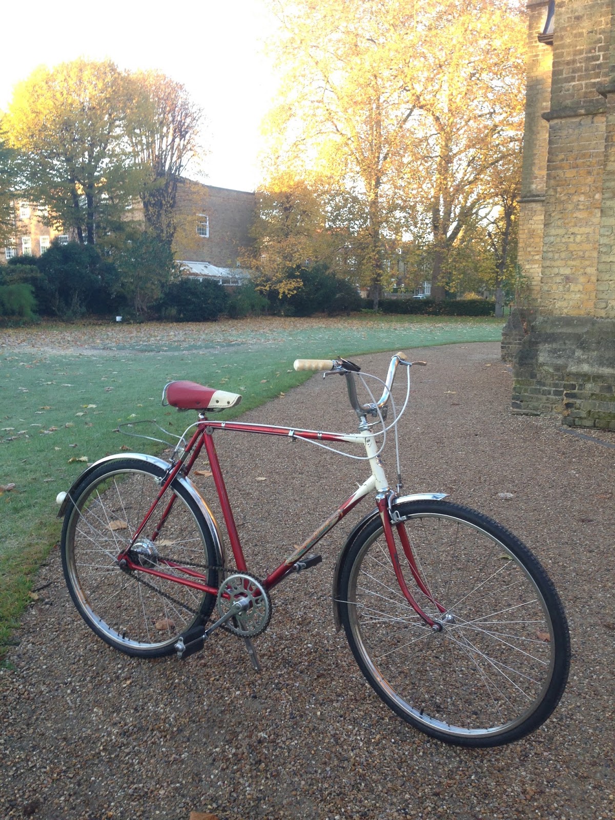 raleigh palm beach bicycle