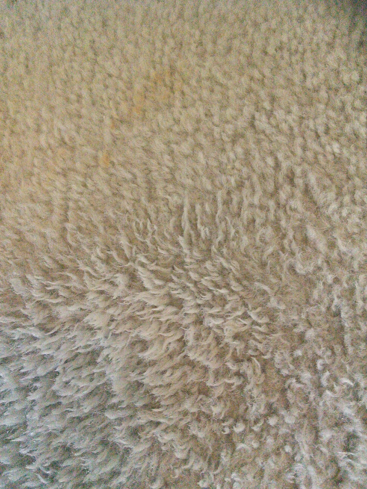 So what stains do you have to get out of your carpet?