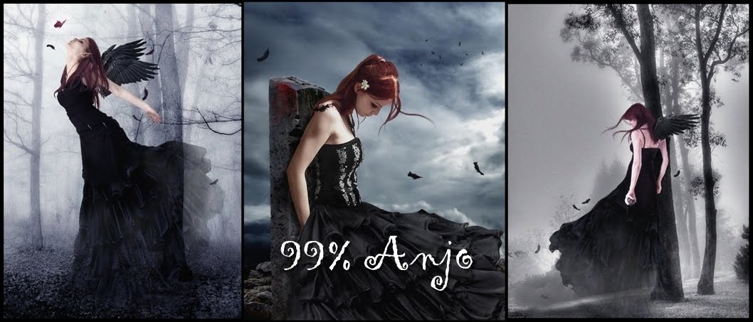 99% Anjo