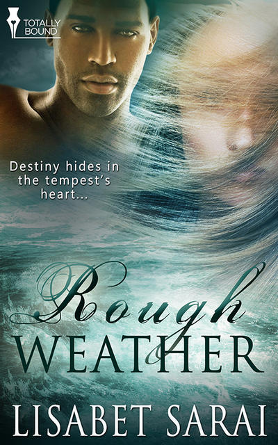Rough Weather cover