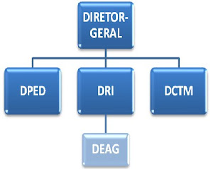 Organograma da DGPDN