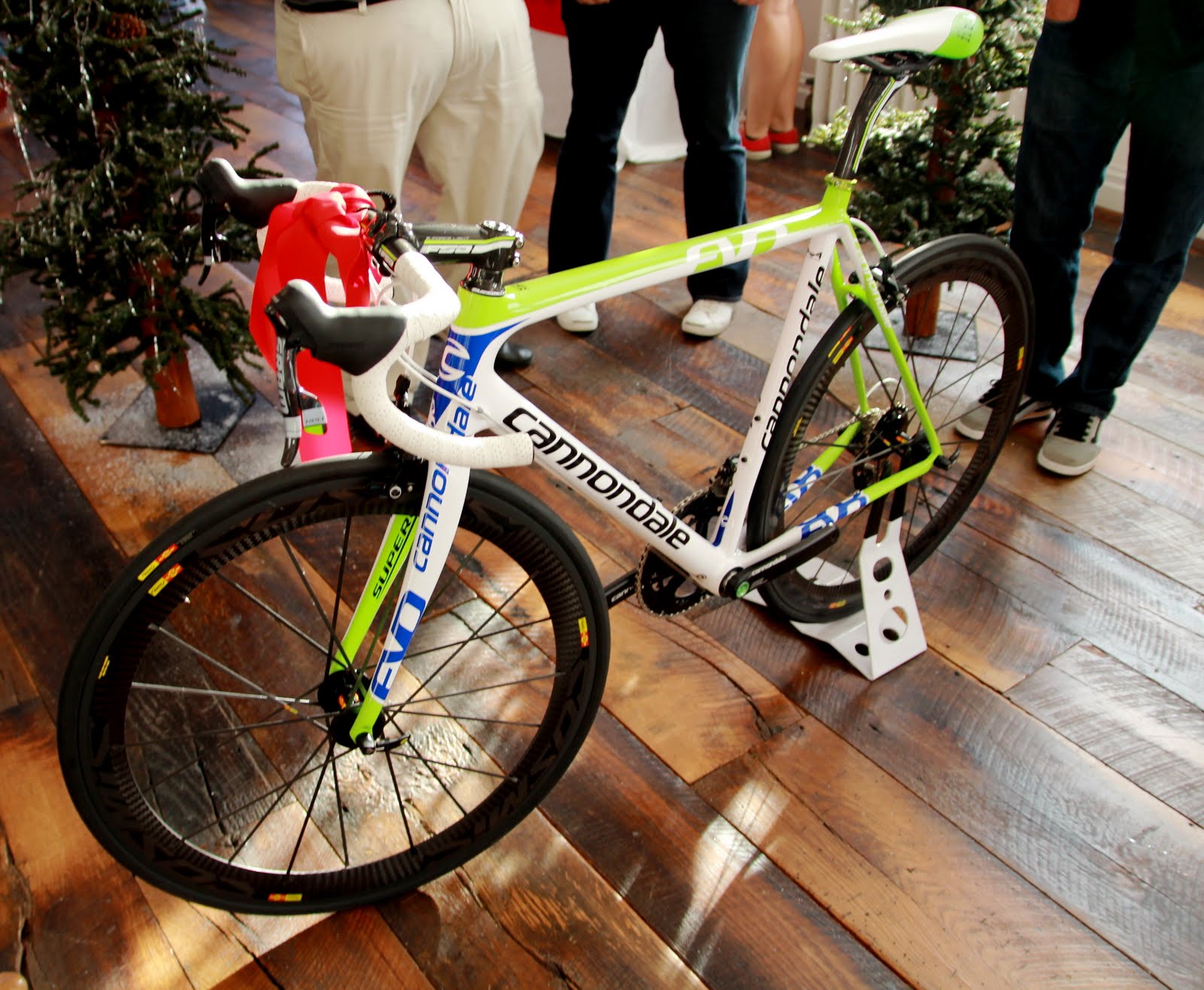 cannondale schwinn caloi mongoose gt