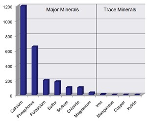 Jenis Mineral
