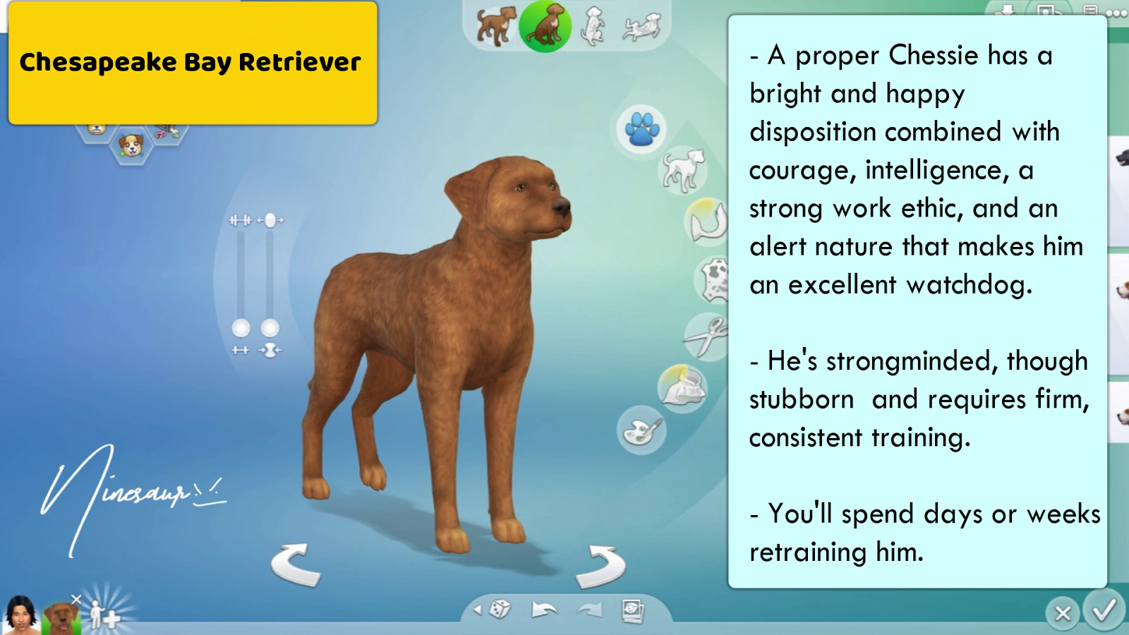 NINESAUR 72 LARGE DOG BREEDS SIMS 4
