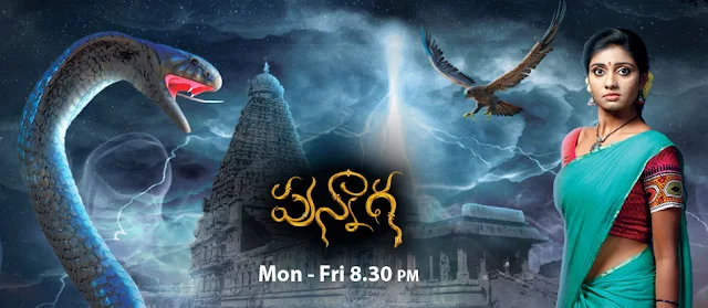 'Punnaga' Serial on Zee Telugu Wiki Story,Cast,Promo,Title Song,Timing