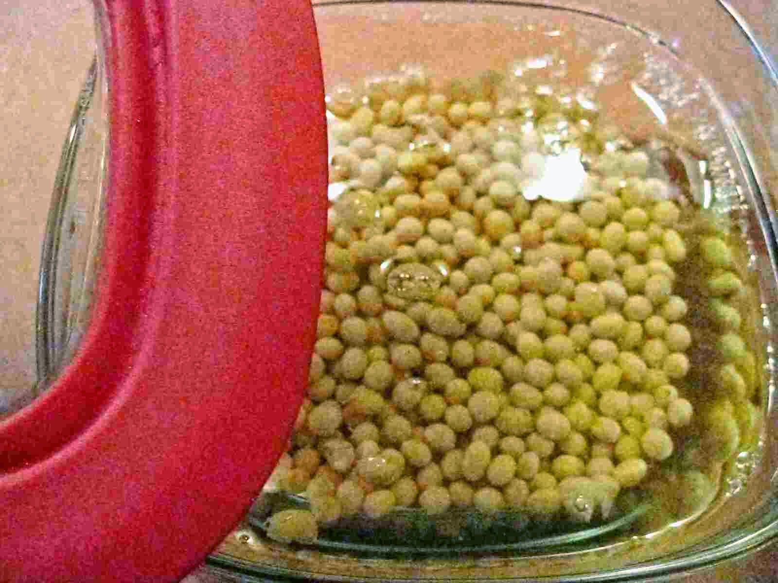 Recipes for Tom Tonyu, okara / soy milk and soybean pulp