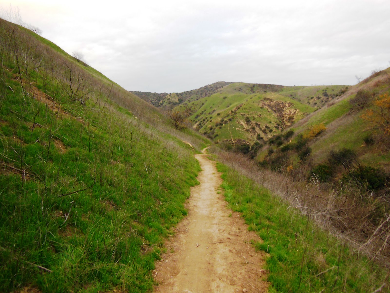 Chino Hills State Park (Telegraph Canyon)