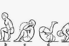 Olahraga Penunjang Latihan Senam Lantai