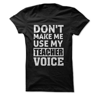 funny shirt for teachers, teacher gift