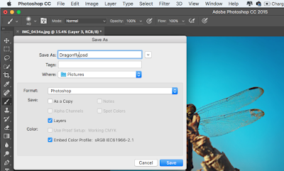 File name and location File name and location