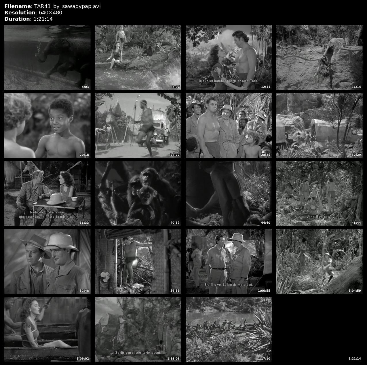 El Tesoro de Tarzán [1941] [DVDRip] [Subtitulada]