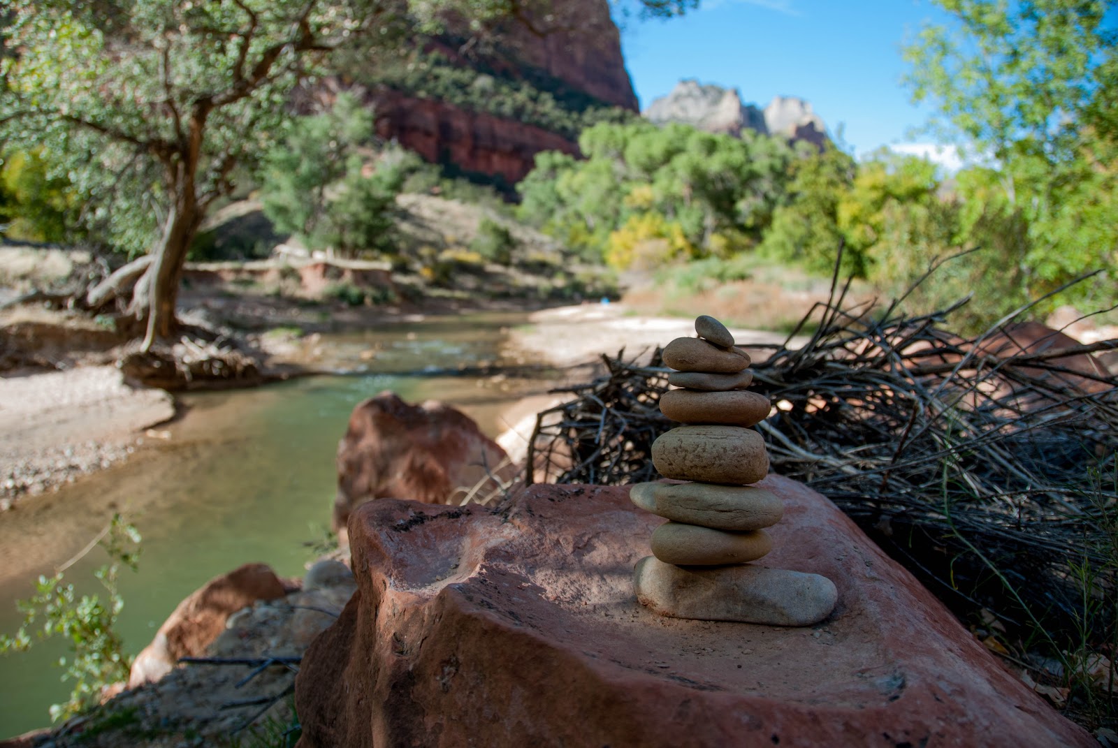 I Bring My Camera With Me My Recent Trip to Zion National Park