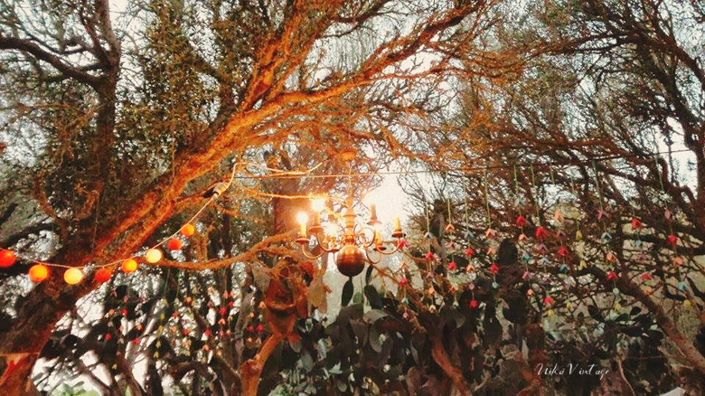 Una boda celta o handfasting, un bosque, una decoración sencilla acorde con la naturaleza y una enorme sorpresa