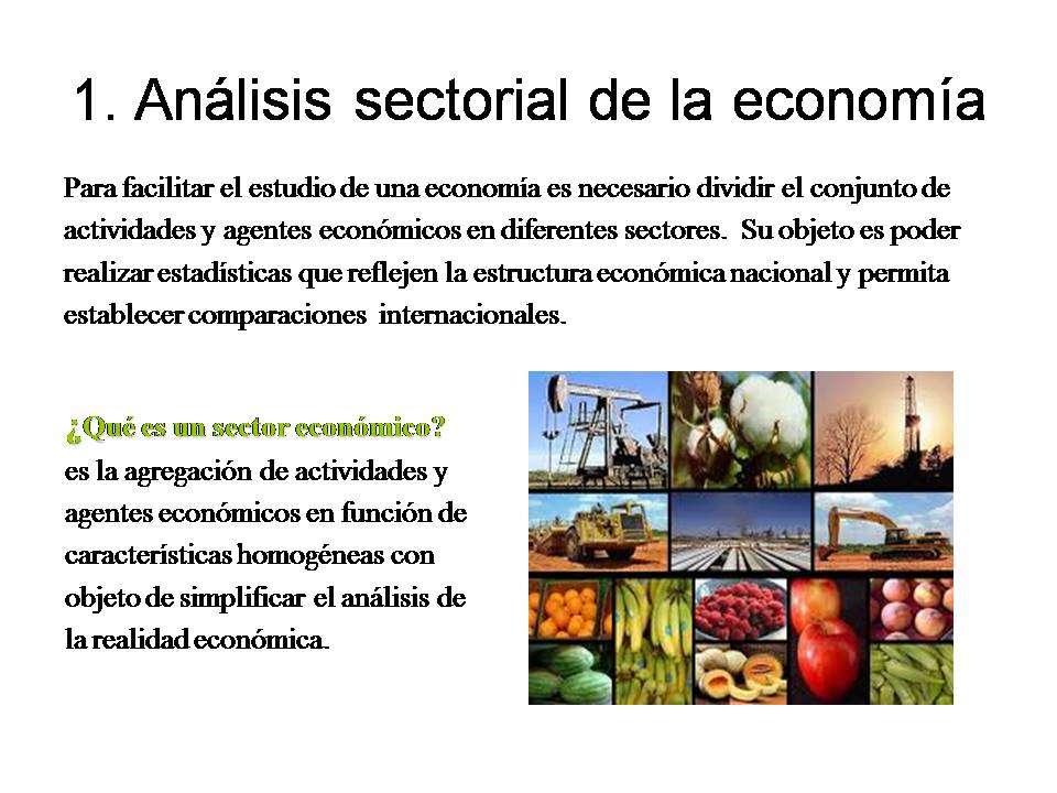 ECONOMÍA Y EMPRESA LOS SECTORES ECONÓMICOS