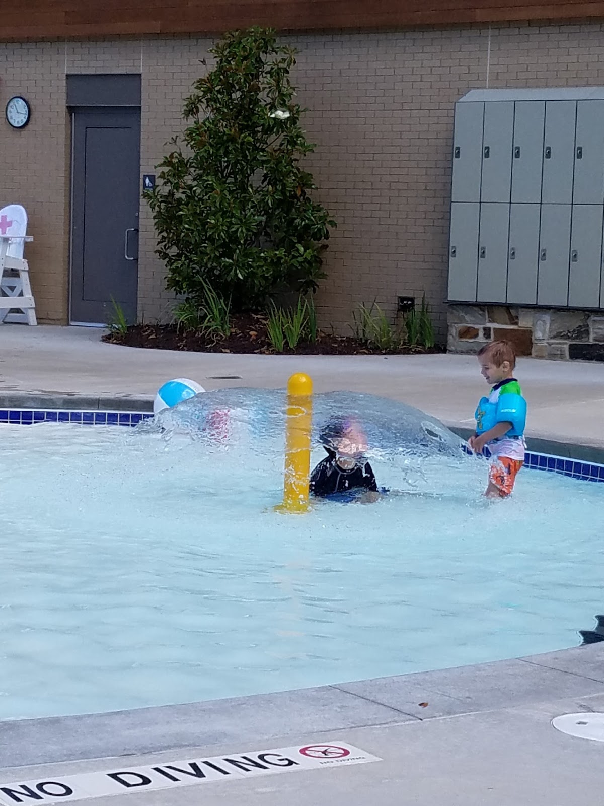 Play St. Louis Timbers of Eureka Pool, Eureka