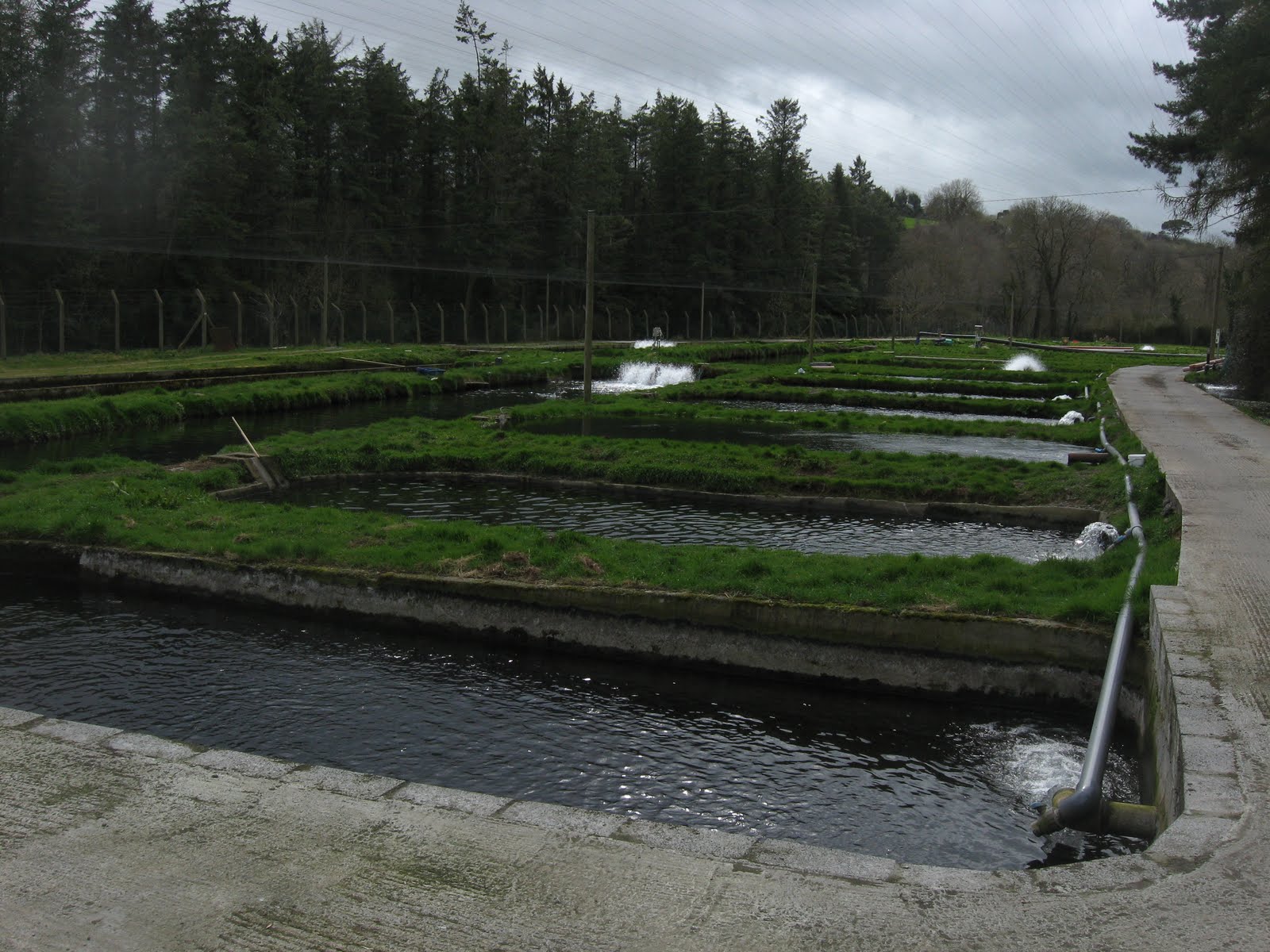 Sustainable Fish Farming Fish Farm Tour of Ireland April 2011