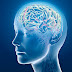How to Supercharge Your Dopamine Levels to Never Feel Sad, Stressed or Depressed Again