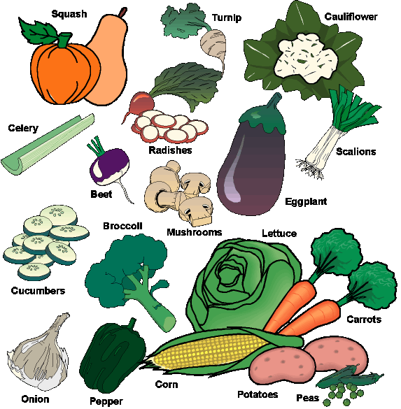 Featured image of post How to Make Vegetables Names In Telugu