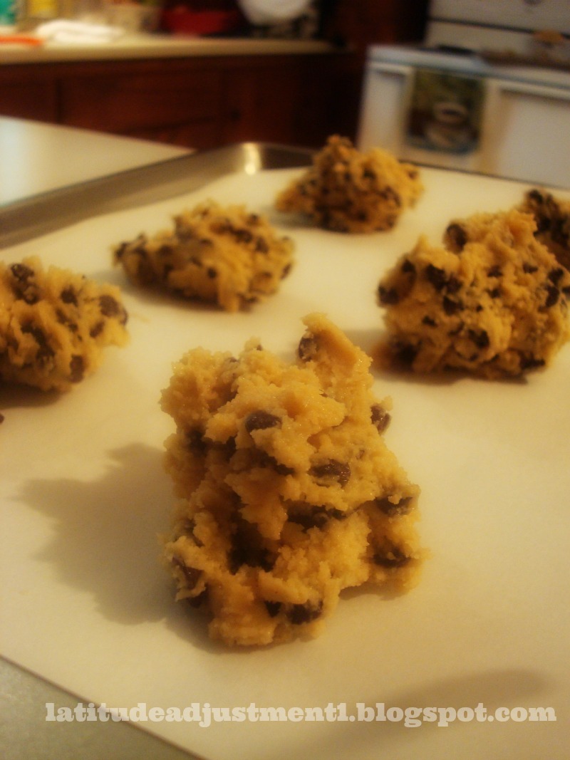 Latitude Adjustment Chocolate Chip Cookies (a basic but delicious
