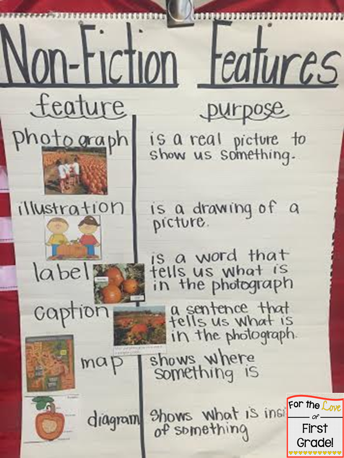 For the Love of First Grade Creating Their OWN Book of Nonfiction