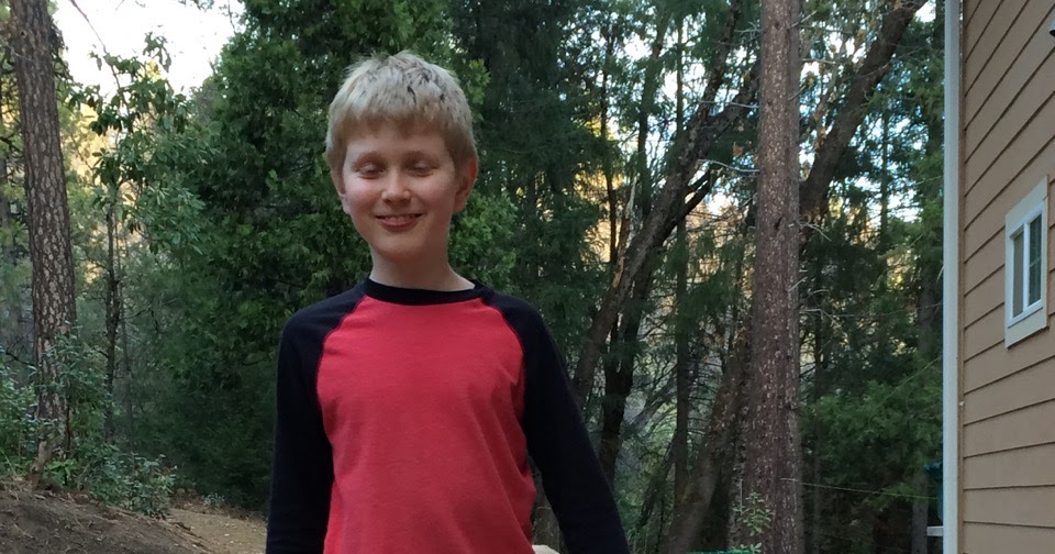 Flare of Light Year In Review Ambleside Online Y4 (20152016)