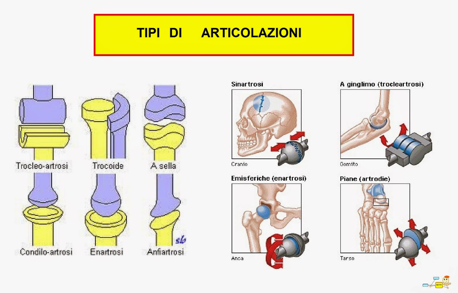 Attrezzo Per Allargare Le Scarpe - Le Migliori Offerte Web