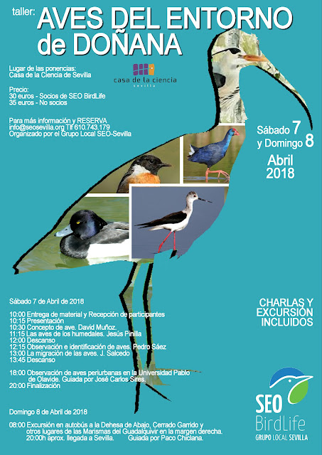 Taller: Aves del entorno de Doñana 2018. Grupo Local SEO-Sevilla.