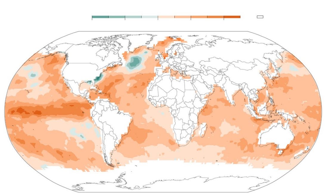 Allarme Scienza: Ondate di calore oceaniche? Minaccia per l'intero pianeta.