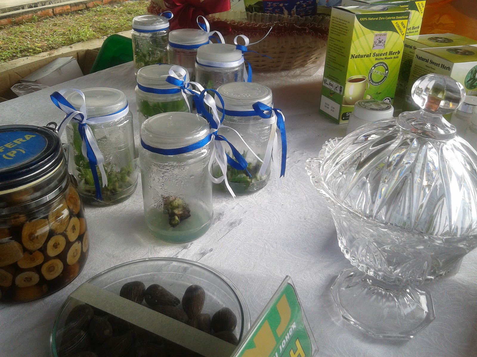 JOHOR PLANT TECH SDN BHD AKTIVITI SYARIKAT