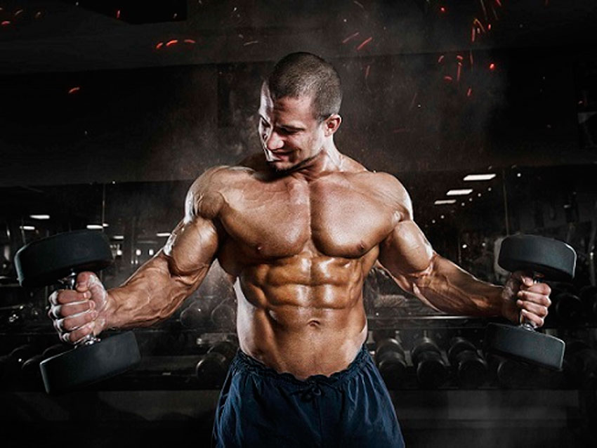 Body Building Health Articles