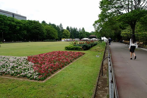 Traveling 日比谷公園 Hibiya Park