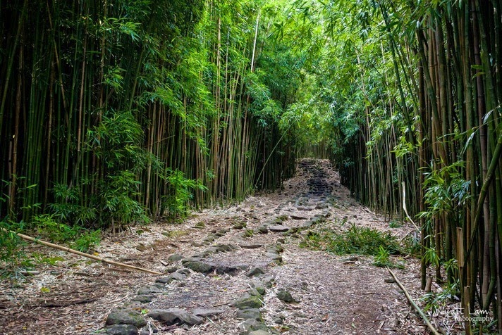 The Pipiwai Trail – the Most Scenic Hiking Route in Hawaii