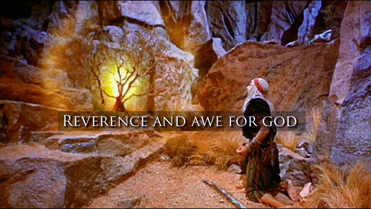 Observations From A Simple Life What Does It Mean To Fear The Lord observations-from-a-simple-life-what-does-it-mean-to-fear-the-lord
