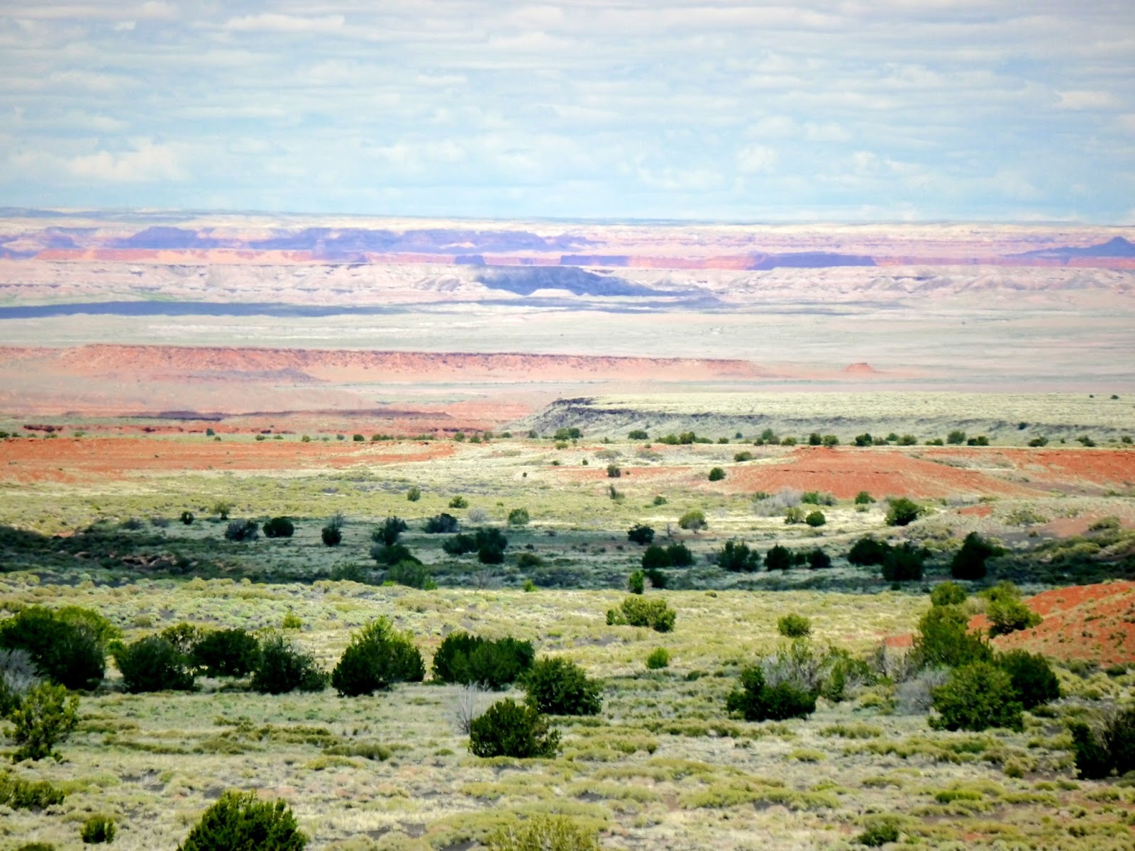 American Travel Journal Painted Desert Vista Coconino National Forest