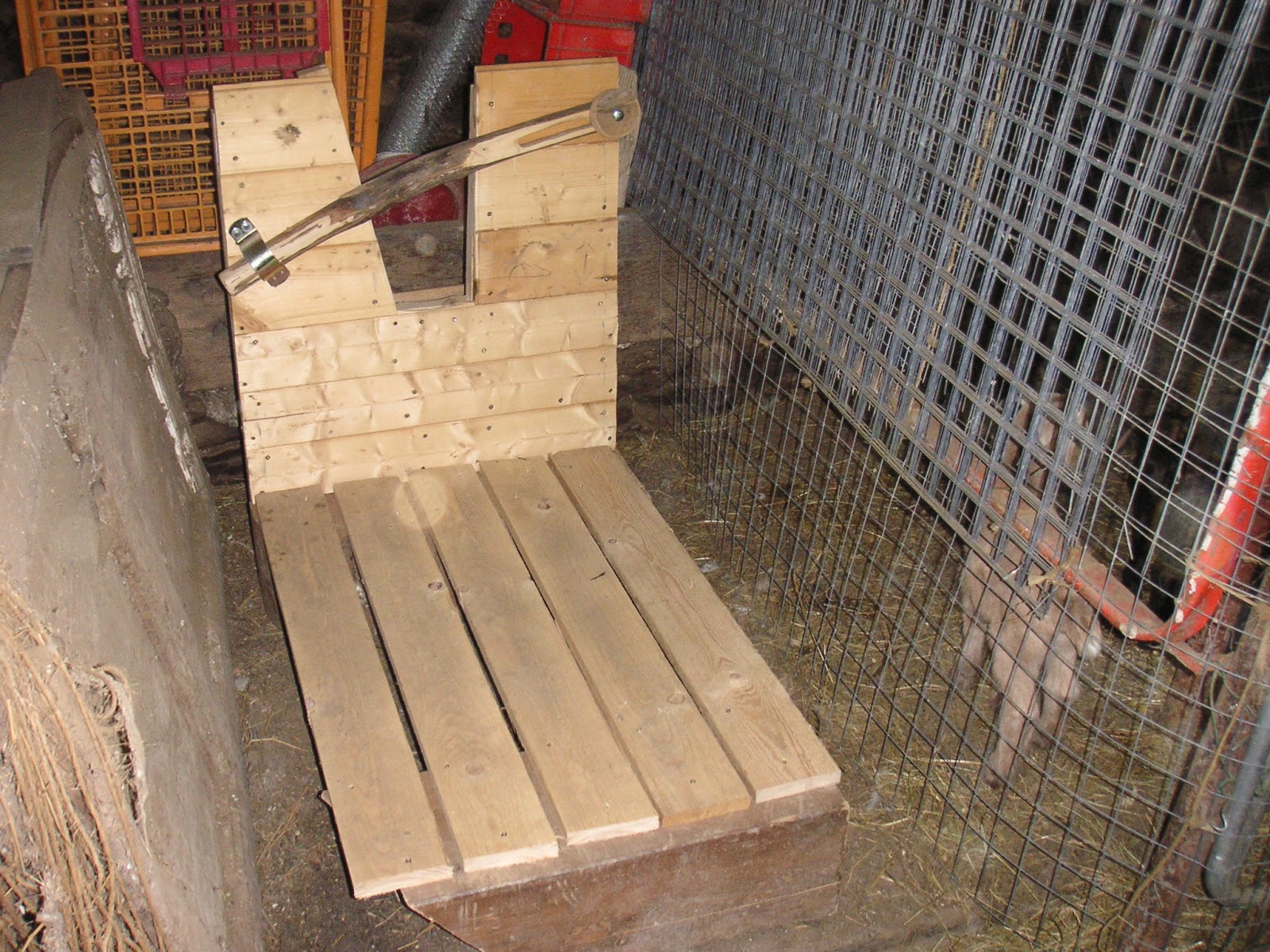 Mangiatoia In Legno Per Capre Il Tracciolino dello Spirito: Mungitoia e 'cattura'.