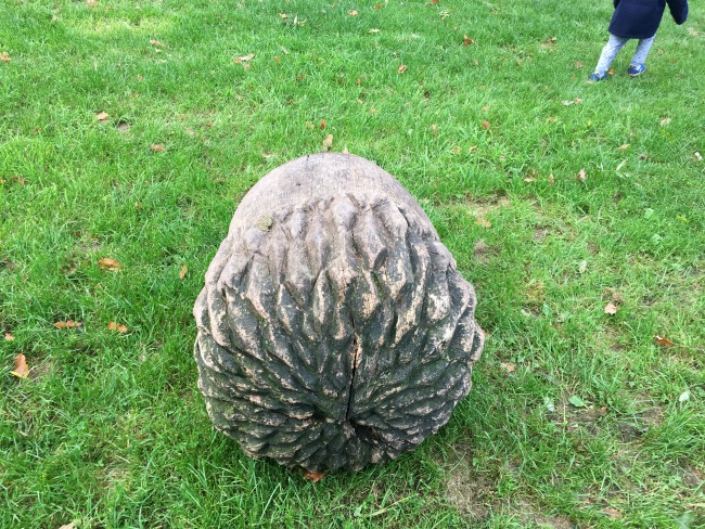 carved-acorn-and-just-see-child-legs