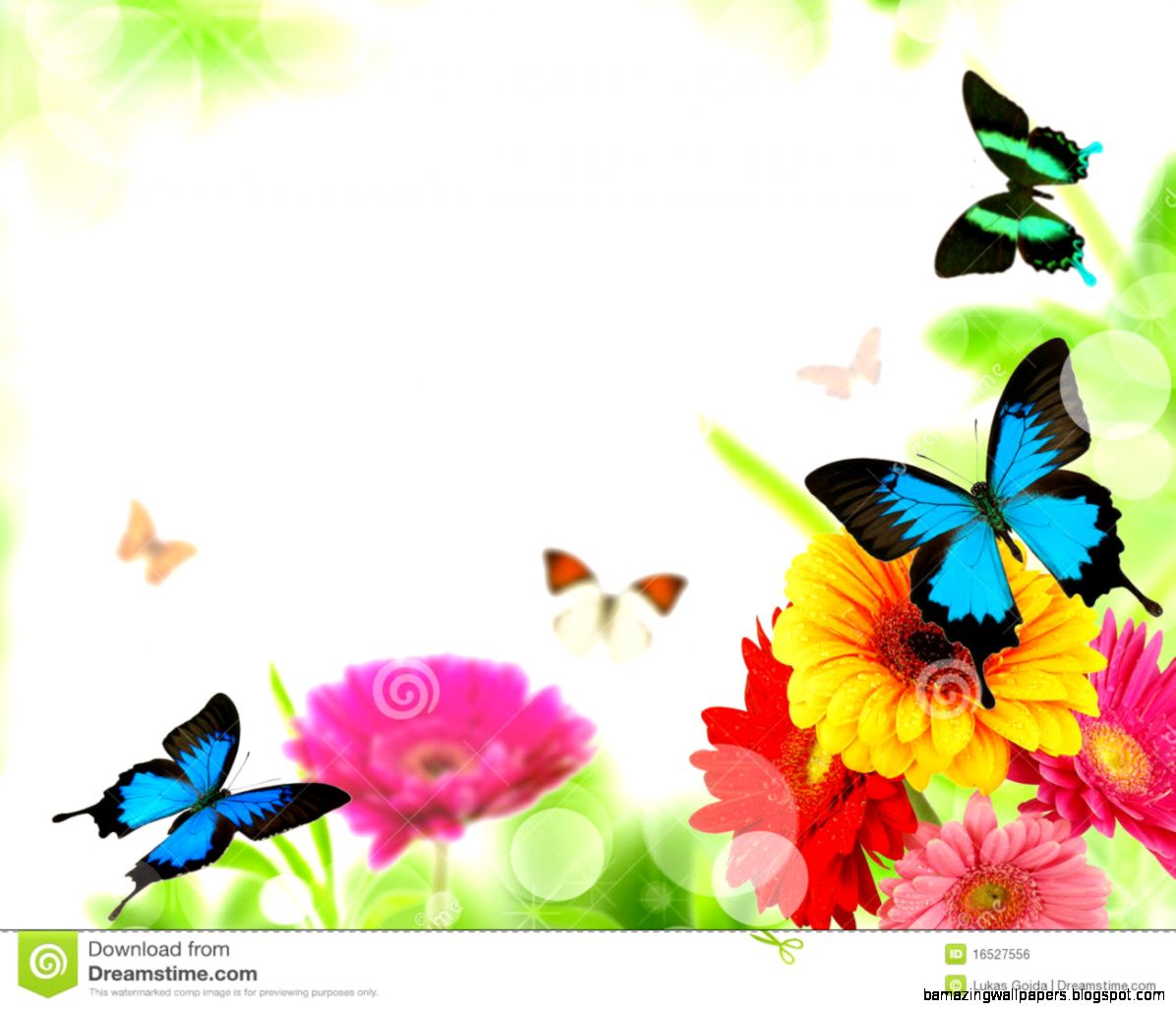 Beautiful Nature Background Royalty Free Stock Image   Image 16527556