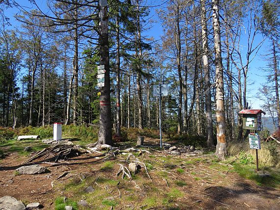 Velký Polom, vrchol (1067 m n.p.m.).