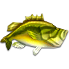 «The Sims 4», рыбалка, изучение рыбалки, рыба, каталог рыб, виды рыб, игра, симулятор, информация об игре, навыки, игровые навыки, информация о рыбалке, полезное о рыбалке, ловля рыбы, советы по рыбалке, обзор, нарык "рыболовство", рыбные места, советы по игре, интересное об игре, навык "Рыбная ловля", прокачивание навыков, 