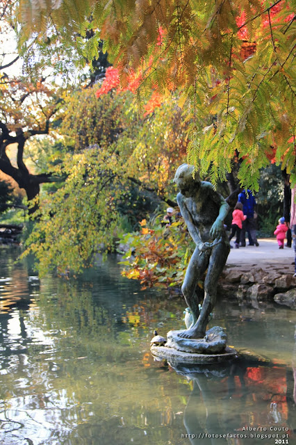 Budapeste - O lago da Ilha Margarida-http://fotosefactos.blogspot.com
