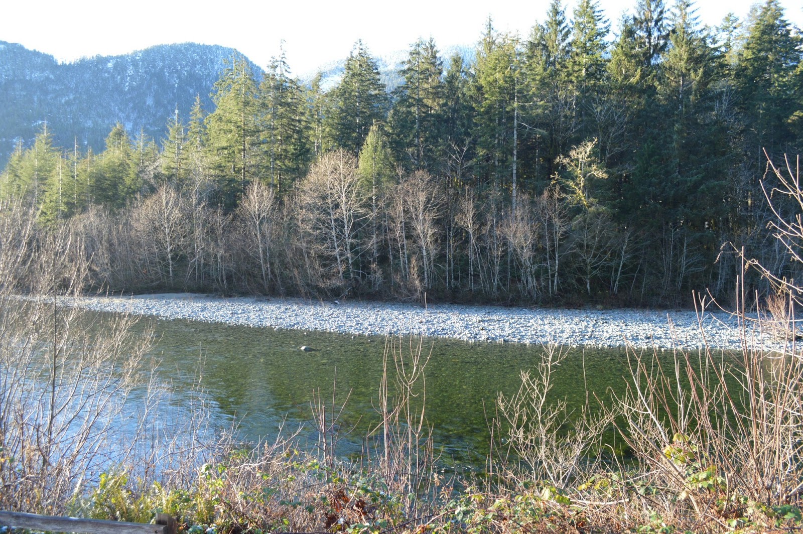 BC Oceanfront BCO Coastal Gems Zeballos