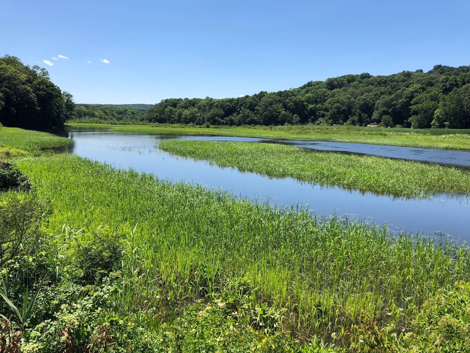 Southwest Daily Images Chester Creek Preserve