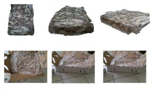 Bisnis Ikan Bisnis Ikan