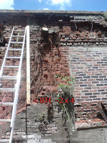 Outer Course of Brick Wall removed exposing the Trees Root System