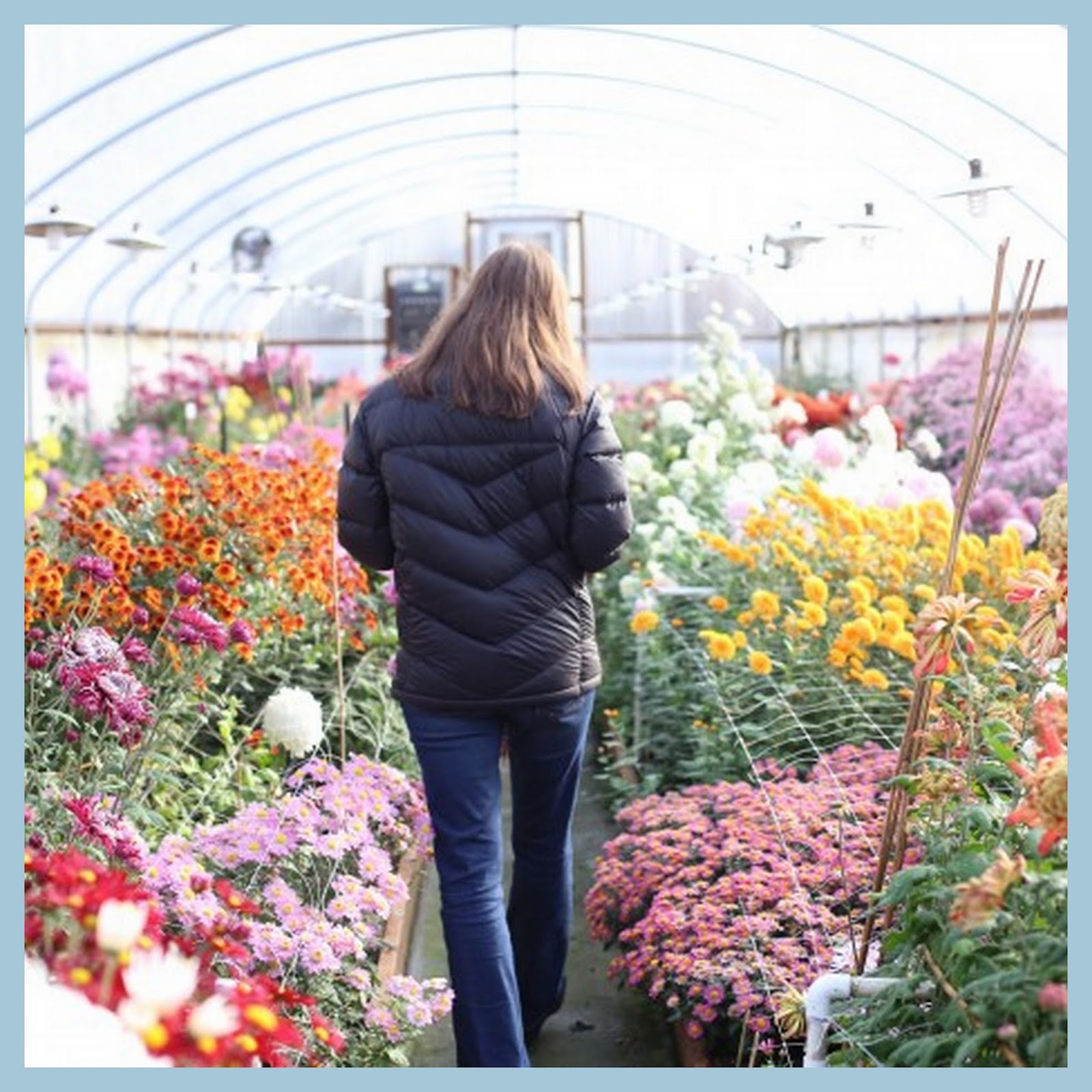 marieke nolsen Floret Flower /FarmerFlorist Collectief