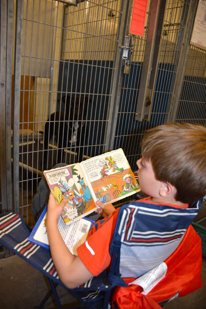 People Skipped The Fireworks On July 4th To Comfort Frightened Shelter Dogs People Skipped The Fireworks On July 4th To Comfort Frightened Shelter Dogs