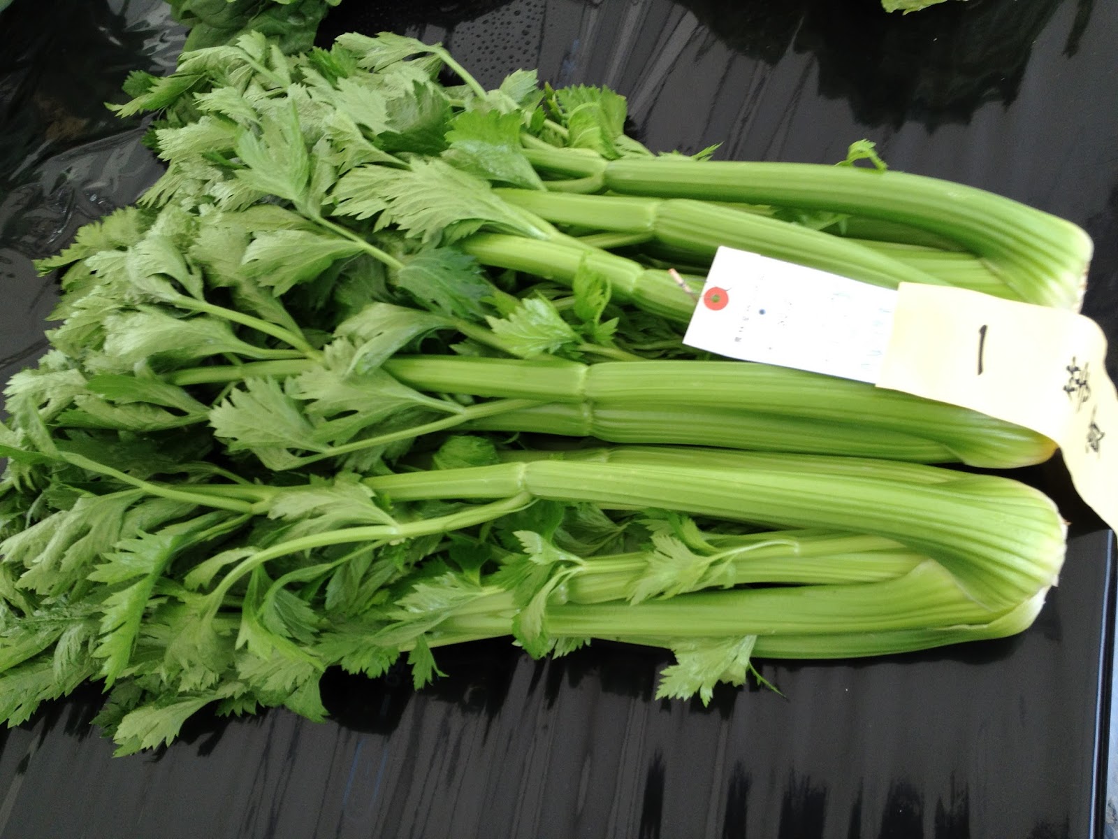 ６０歳で無職の優雅な日々 セロリ Celery