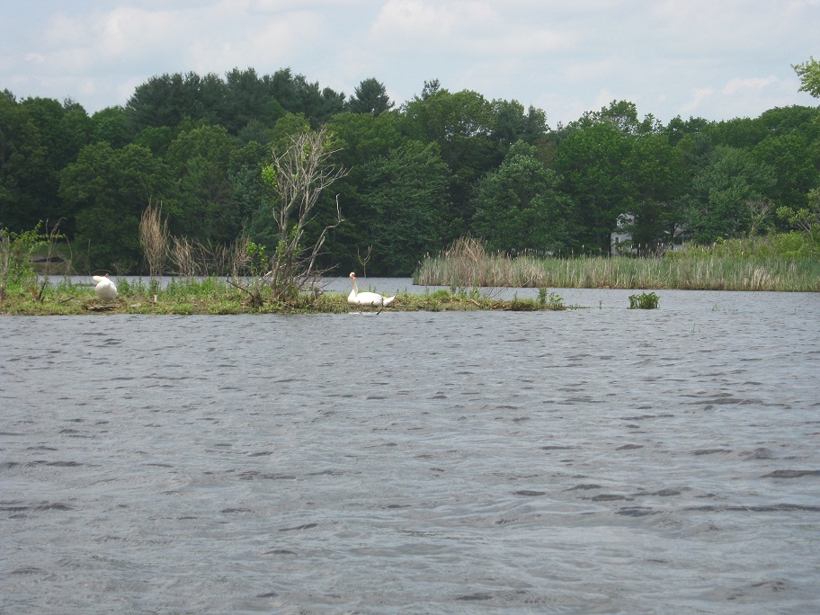 Kayak The Merrimack Nashua River Pepperell / Groton MA