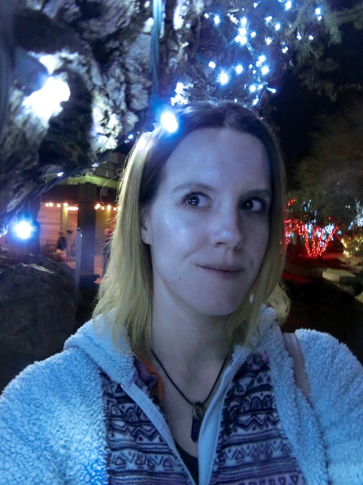 Nau speak Vegas Ethel M. Lights of Love 2018