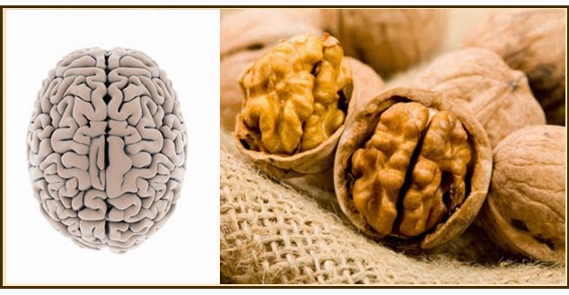 Alimentos para mantener nuestro cuerpo siempre sano